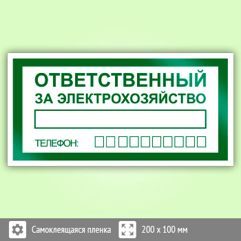 Знак «Ответственный за электрохозяйство», B118